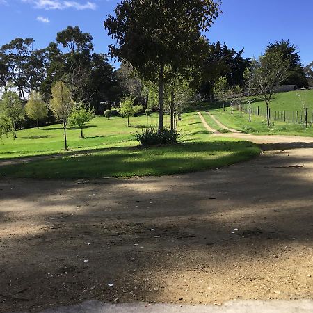 Nextdoor@Portarthur Port Arthur Bagian luar foto