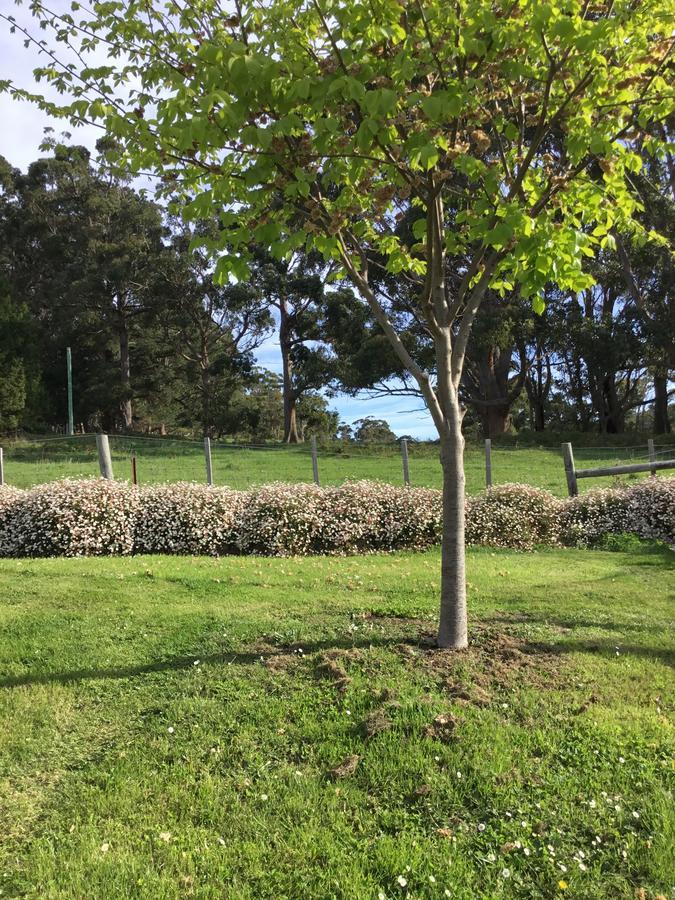 Nextdoor@Portarthur Port Arthur Bagian luar foto